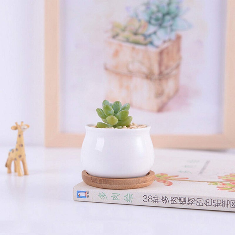 Brajttt Succluent Pots ï¼ŒSmall Flower Pots Planter Pots with Drinage,Ceramic Flowers Pots with Bamboo Tray for Cactus(12 Pack - Image 4